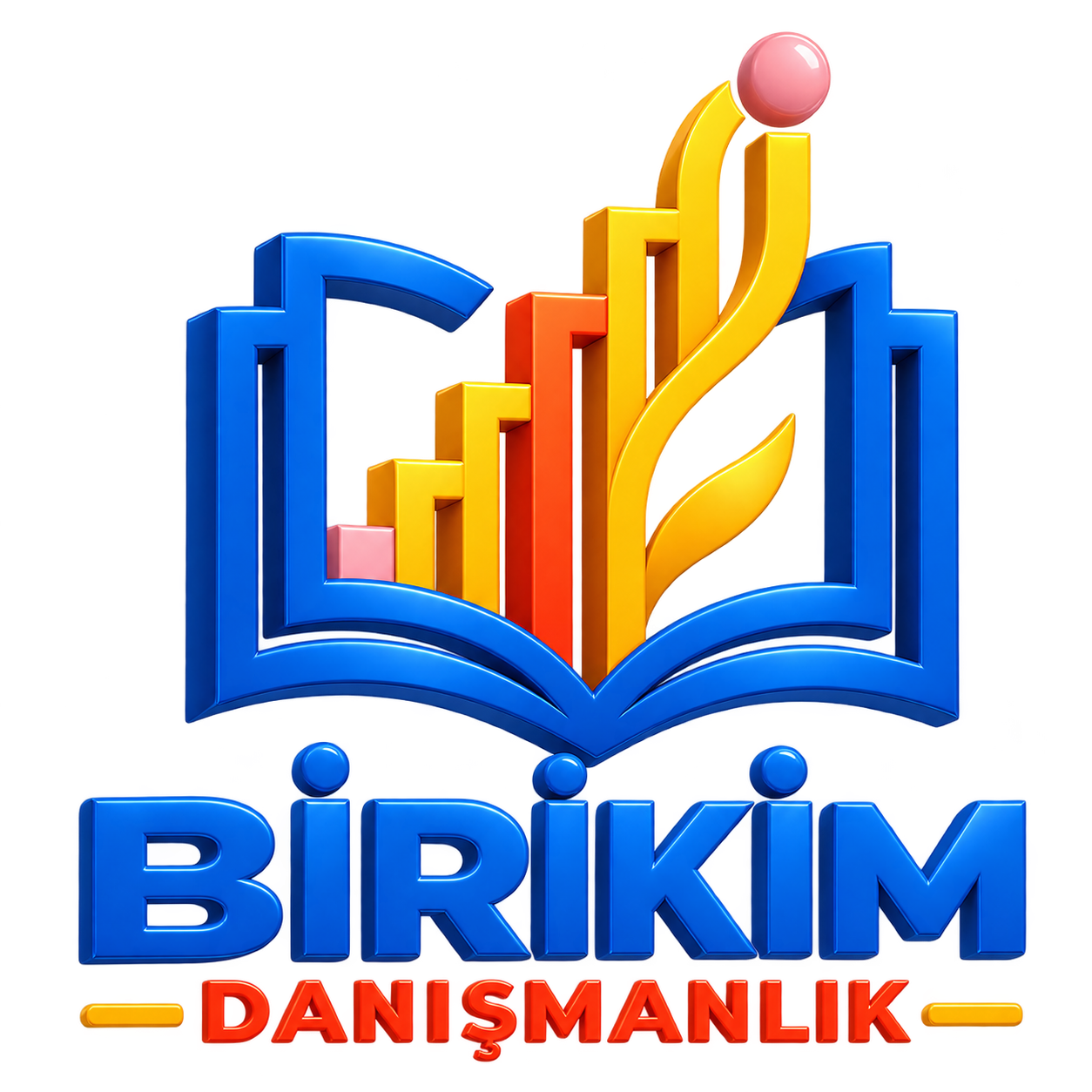 Birikim Danışmanlık